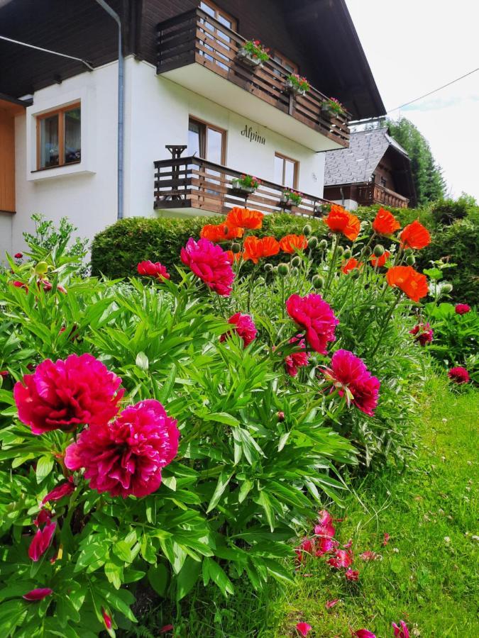 Haus Alpina Apartment Weissensee Exterior photo